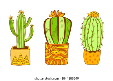 Vector hand drawn botanical illustration. Green cactus with flowers in modern terracotta pot set isolated on white background. Indors plants collection.