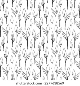 Vector hand drawn botanical seamless pattern. Many small leaf twigs. Outline black and white plant print. Vintage scandinavian style natural art. Trendy contour element for tea packaging layout design