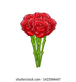 Vector hand drawn bouquet of red roses, vector illustration isolated on white background