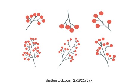 Vector hand drawn branch of rowan berries for winter and autumn decoration. Doodle illustration.