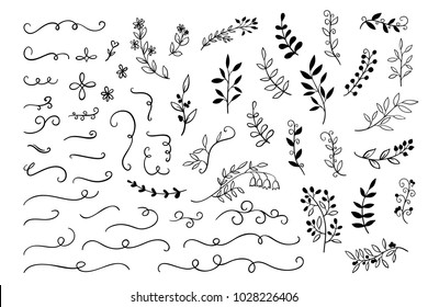 Vector Hand drawn branches, dividers, leaves decoration for wedding, greetings cards. Sketch doodle elements set