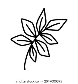 handgezeichnete Zweige und Blätter von tropischen Pflanzen im Doodle-Stil einzeln auf weißem Hintergrund. Schwarze Umrissseite für Erwachsene und Kinder. Synadenium, Monstera, Palmenblatt.