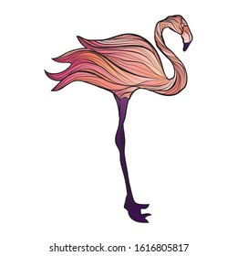 Vector hand drawn bright flamingo illustration isolated on white background. Stock vector illustration of pink bird in modern style. Colorful pink flamingo summer illustration. 