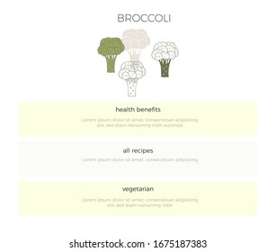 Vector hand drawn broccoli. Vegetables. Healthy nutrition, vegetarians, vegans. Farm fresh products for restaurant menu, market label, grocery store identity.