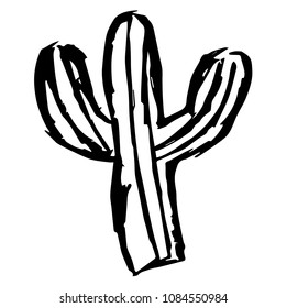 Vector Hand Drawn Brush of Mexican Cactus Cacti Succulent Nature Plant. Flat, Icon, Sign, Logo, Symbol, Object, Graphic Design, Element, Background, Illustration for Print.