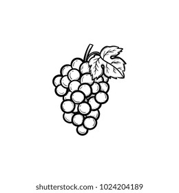 Vector hand drawn Bunch of grapes outline doodle icon. Bunch of grapes sketch illustration for print, web, mobile and infographics isolated on white 