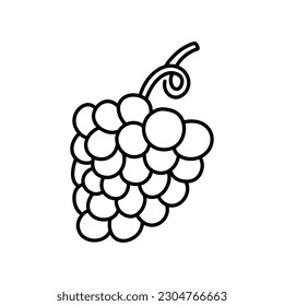 Vector hand drawn Bunch of grapes outline doodle icon. Bunch of grapes sketch illustration for print, web, mobile and infographics isolated on white background.
