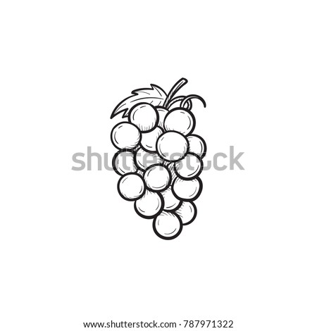 grapes outline