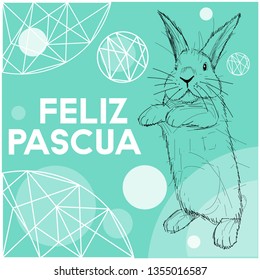 Vector hand drawn bunny with lettering Feliz Pascua - Happy Easter, written in Spanisn, on pale turquoise background. Flat vector illustration for cards, Easter design and decoration, posters, web.