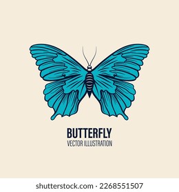 Vector Hand Drawn Butterfly Icon Closeup Isolated on White Background. Butterfly Design Template, Vintage Vector Illustration of Butterfly with Outline for Logo, Tattoo Design