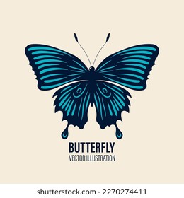 Vector Hand Drawn Butterfly Icon Closeup Isolated on White Background. Butterfly Design Template, Vintage Vector Illustration of Butterfly with Outline for Logo, Tattoo Design