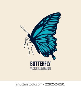 Vector Mano Dibujó Icono Mariposa Cerrado Aislado en Fondo Blanco. Plantilla de diseño de mariposa, Ilustración vintage de mariposa con contorno para logotipo, diseño de tatuajes