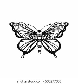Vector hand drawn butterfly isolated on white