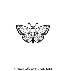 Vector hand drawn butterfly outline doodle icon. Butterfly sketch illustration for print, web, mobile and infographics isolated on white background.