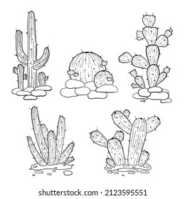 Vector hand drawn cactus isolated on white. Outline illustration. Mexican cactus. Desert spiny plant, mexico cacti flower and tropical home plants.