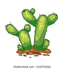 Vector hand drawn cactus isolated on white. Flay cartoon style illustration. Mexican cactus. Desert spiny plant, mexico cacti flower and tropical home plants.