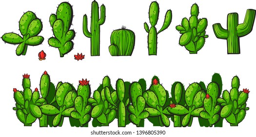 Vector hand drawn cactus set, vector illustration isolated on white background