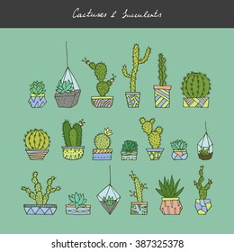 Vector hand drawn cactuses and succulents.