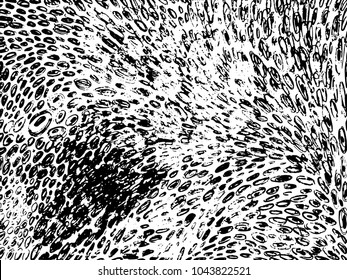 Vector hand drawn calligraphic brush stroke monochrome pattern. Black and white style design. Good for poster, fabric print, web page background, birthday card invitation, interior surface texture