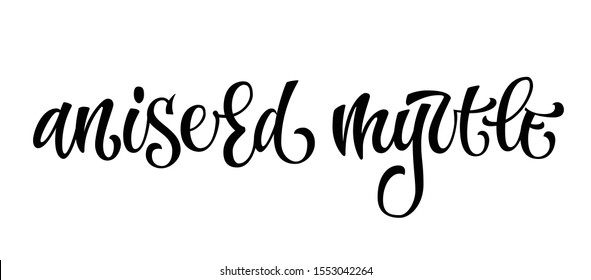 Vector Hand Drawn Calligraphy Style Lettering Word - Aniseed Myrtle. Isolated Script Spice Text Label.