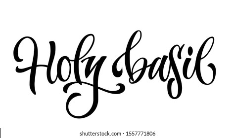Vector hand drawn calligraphy style lettering word - Holy basil. Isolated script spice text label. Labels, stikers, packages design element.