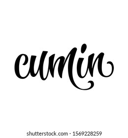 Vector hand drawn calligraphy style lettering word - Cumin. Labels, shop design, cafe decore etc Isolated script spice text logo. Vector lettering design element.