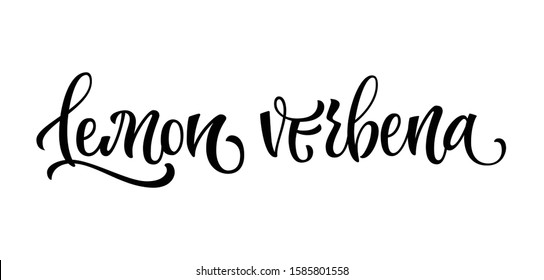 Vector hand drawn calligraphy style lettering word - Lemon verbena. Labels, shop design, cafe decore etc Isolated script spice text logo. Vector lettering design element.