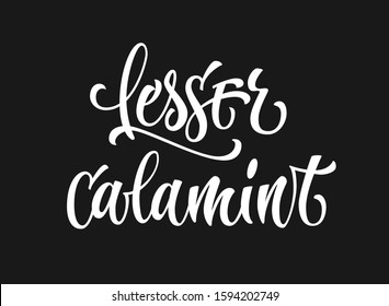 Vector hand drawn calligraphy style lettering word - Lesser calamint. Isolated script spice text label. White colored design.