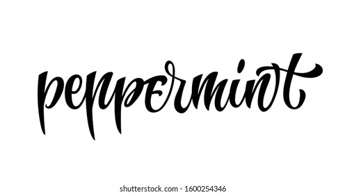 Vector hand drawn calligraphy style lettering word - Peppermint. Labels, shop design, cafe decore etc Isolated script spice text logo. Vector lettering design element.