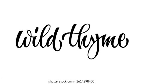 Vector hand drawn calligraphy style lettering word - Wild thyme. Labels, shop design, cafe decore etc Isolated script spice text logo. Vector lettering design element.