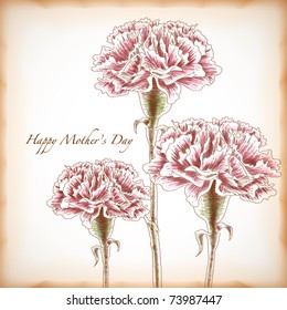 Vector Hand Drawn Carnations, Element for Mother's Day