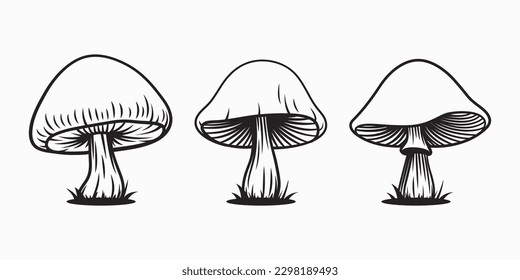 Vector Hand Drawn Cartoon Flat Mushroom Icon Set. Mushroom Illustration, Mushrooms Collection. Magic Mushroom Symbol, Design Template