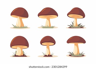 Vector Hand Drawn Cartoon Flat Mushroom Icon Set Isolated on White. Brown Edible Boletus Mushroom Illustration, Mushrooms Collection. Magic Mushroom Symbol, Design Template