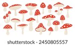 Vector Hand Drawn Cartoon Fly Agaric Mushrooms. Amanita Muscaria, Fly Agaric Illustration, Mushrooms Collection. Magic Mushroom Set, Design Template