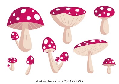 Vector Hand Drawn Cartoon Fly Agaric Mushrooms. Amanita Muscaria, Fly Agaric Illustration, Mushrooms Collection. Magic Mushroom Set, Design Template