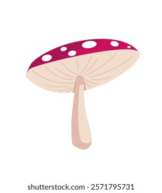 Vector Hand Drawn Cartoon Fly Agaric Mushrooms. Amanita Muscaria, Fly Agaric Illustration, Mushrooms Collection. Magic Mushroom Set, Design Template