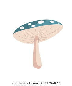 Vector Hand Drawn Cartoon Fly Agaric Mushrooms. Amanita Muscaria, Fly Agaric Illustration, Mushrooms Collection. Magic Mushroom Set, Design Template