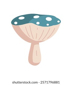 Vector Hand Drawn Cartoon Fly Agaric Mushrooms. Amanita Muscaria, Fly Agaric Illustration, Mushrooms Collection. Magic Mushroom Set, Design Template