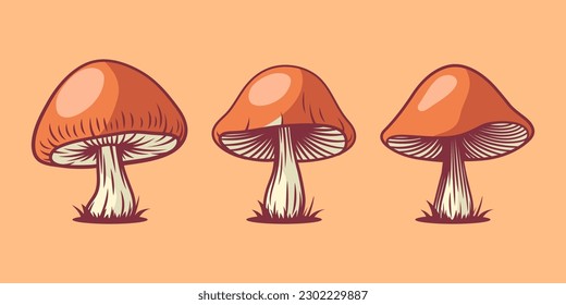 Vector Hand Drawn Cartoon Mushroom with Outline Icon Set Isolated. Brown Edible Boletus Mushroom Illustration, Mushrooms Collection. Magic Mushroom Symbol, Design Template