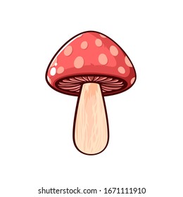 Vector hand drawn cartoon one big red mushroom, vector illustration isolated on white background