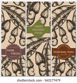 Vector hand drawn cashew banners. Engraved illustrations. Great food banner, flyer, poster