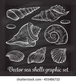 Vector hand drawn chalk sea shells sketches set
