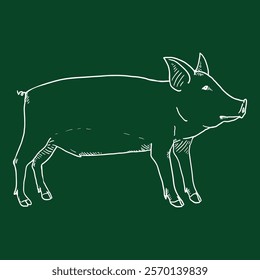 Vector Hand Drawn Chalk Sketch Piglet Illustration