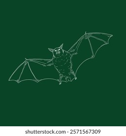 Vector Hand Drawn Chalk Sketch Bat Illustration