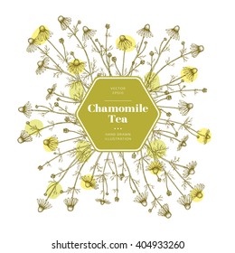 Vector hand drawn chamomile tea emblem.