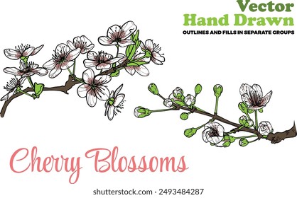 Vector hand drawn cherry blossoms. White and pink petals with green leaves on brown branches. Elegant cherry blossoms for print and online design projects. These assets are ready to use, easy to edit.