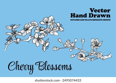 Vector dibujado a mano flores de cerezo. Contorno negro, relleno blanco en grupos separados. Elegantes flores de cerezo para proyectos de diseño impreso y en línea. Estos materiales están listos para usar y son fáciles de editar.