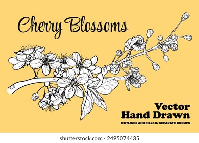 Vector hand drawn cherry blossoms. Black outline, white fill on separate groups. Elegant cherry blossoms for print and online design projects. These assets are ready to use, easy to edit.