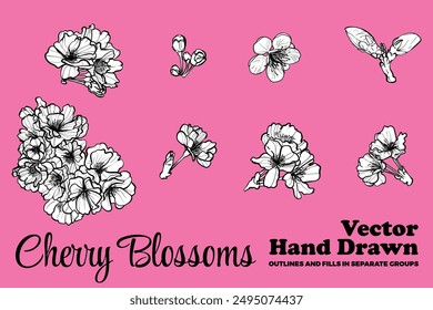 Vector hand drawn cherry blossoms. Black outline, white fill on separate groups. Elegant cherry blossoms for print and online design projects. These assets are ready to use, easy to edit.