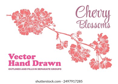 Vector hand drawn cherry blossoms. FLAT FILLS ONLY, NO OUTLINES! Each vector is one united shape. Elegant cherry blossoms for print and online design projects. 